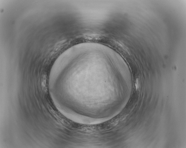 X0000088381396200706121133