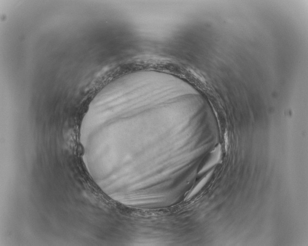 X0000088381397200706121133