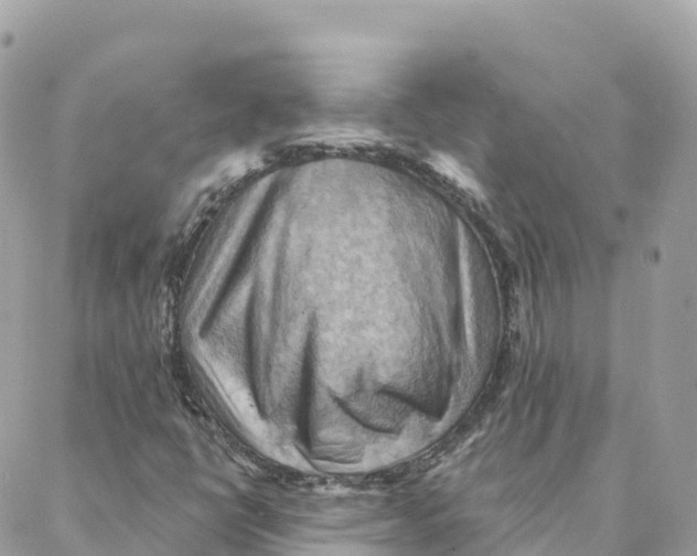 X0000088381398200706121133