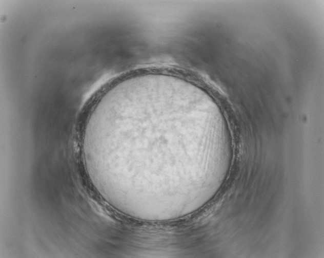 X0000088381400200706121133