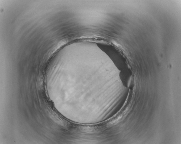 X0000088381401200706121133