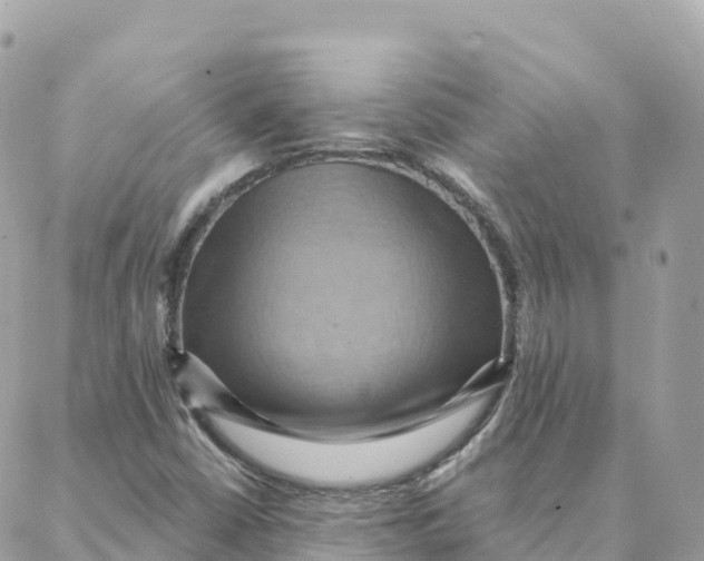 X0000088381402200706121133