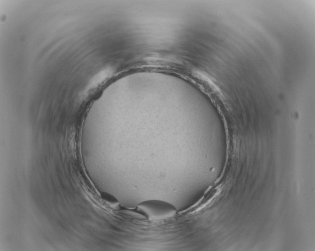 X0000088381403200706121133