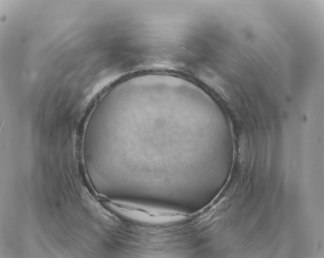 X0000088381404200706121133