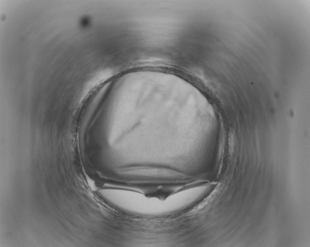 X0000088381405200706121133