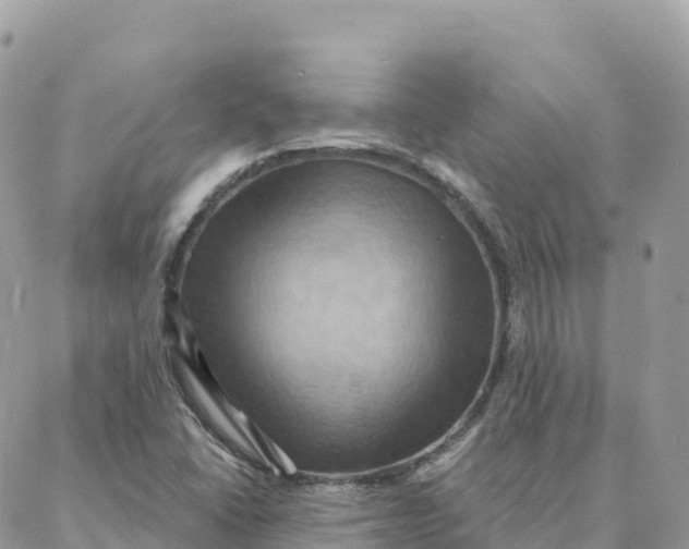 X0000088381406200706121133