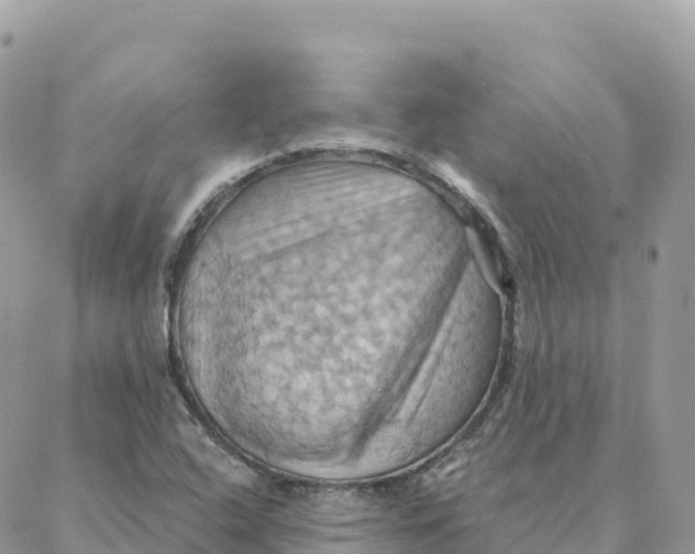 X0000088381408200706121133