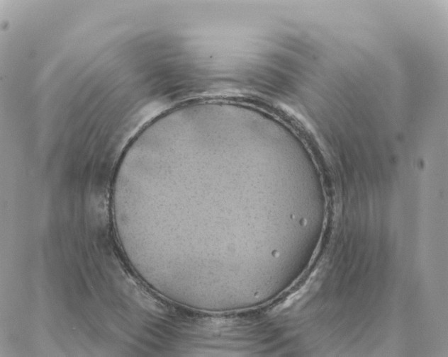 X0000088381409200706121133