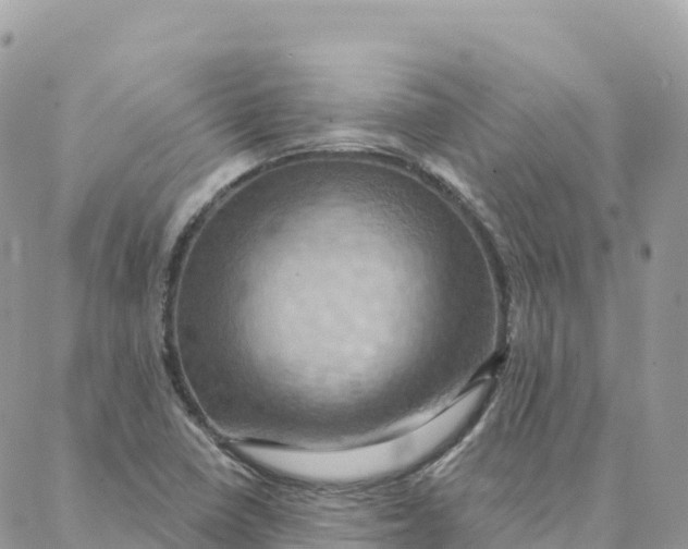 X0000088381410200706121133