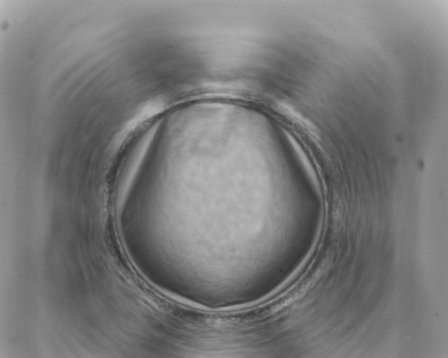 X0000088381411200706121133