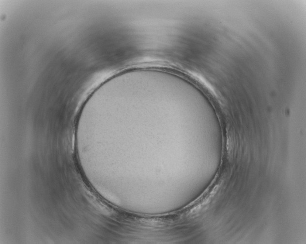 X0000088381413200706121133