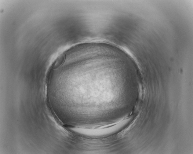 X0000088381414200706121133