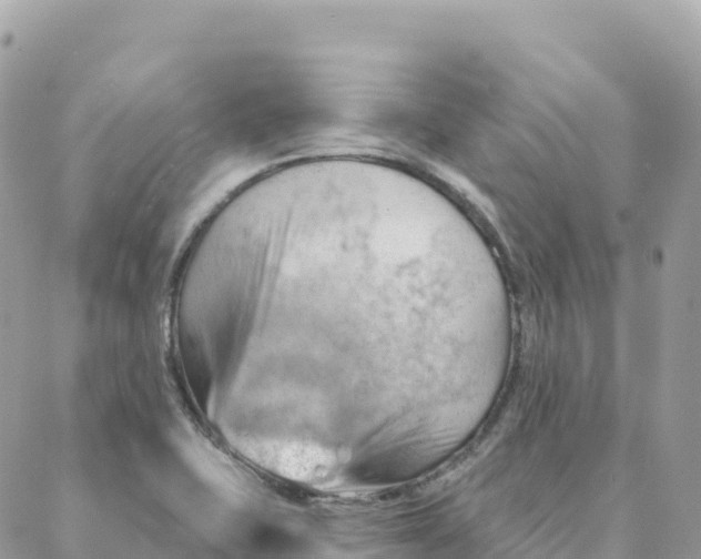 X0000088381415200706121133