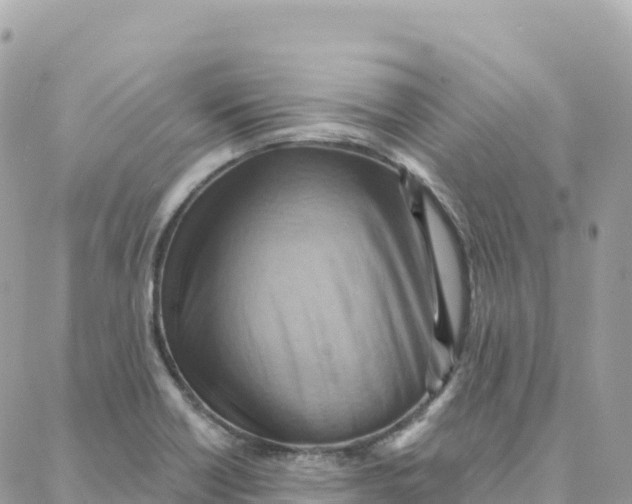 X0000088381418200706121134