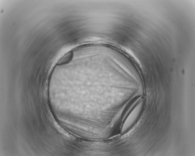 X0000088381421200706121134