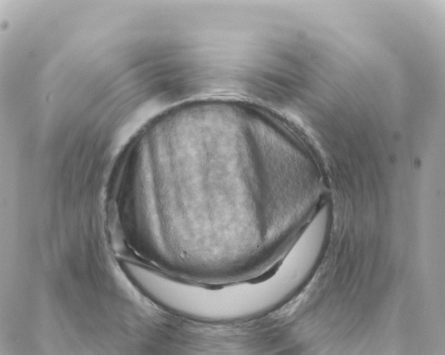 X0000088381422200706121134