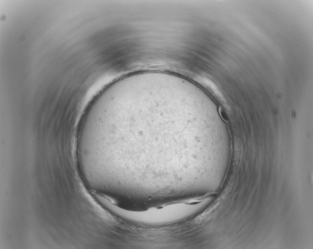 X0000088381424200706121134