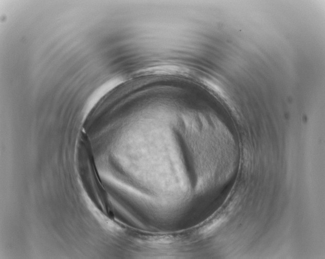 X0000088381426200706121134