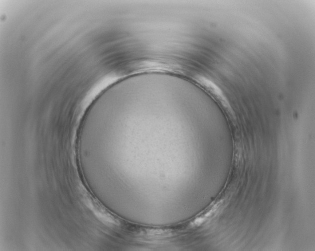 X0000088381427200706121134