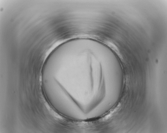 X0000088381428200706121134