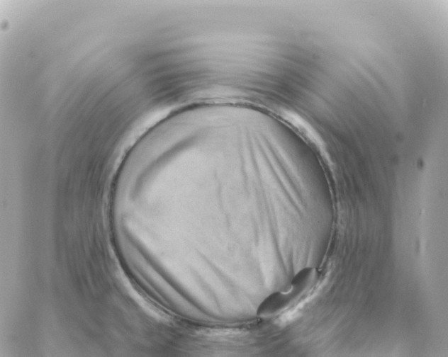 X0000088381429200706121134