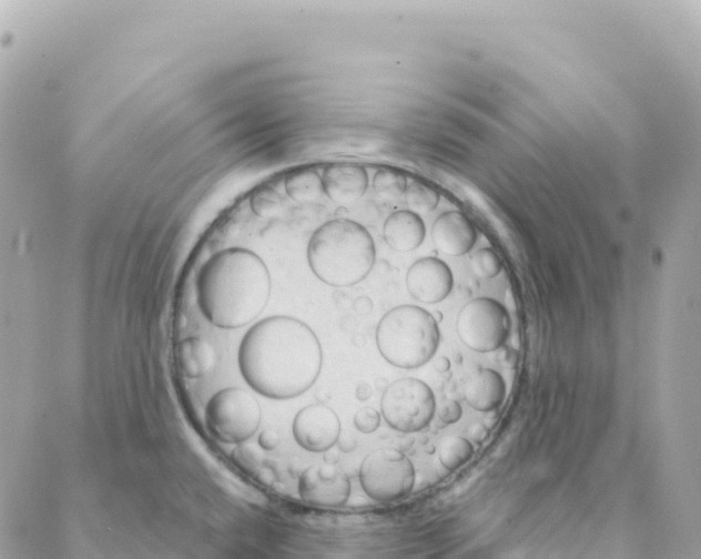 X0000088381432200706121134