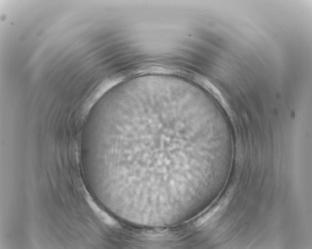 X0000088381433200706121134