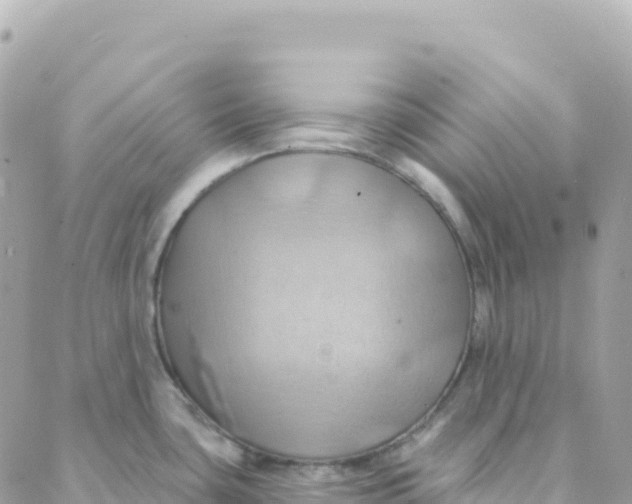 X0000088381435200706121134