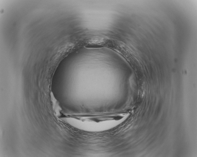 X0000088381441200706121133