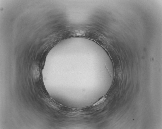 X0000088381442200706121133