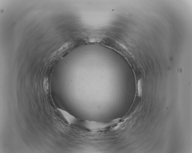 X0000088381443200706121133