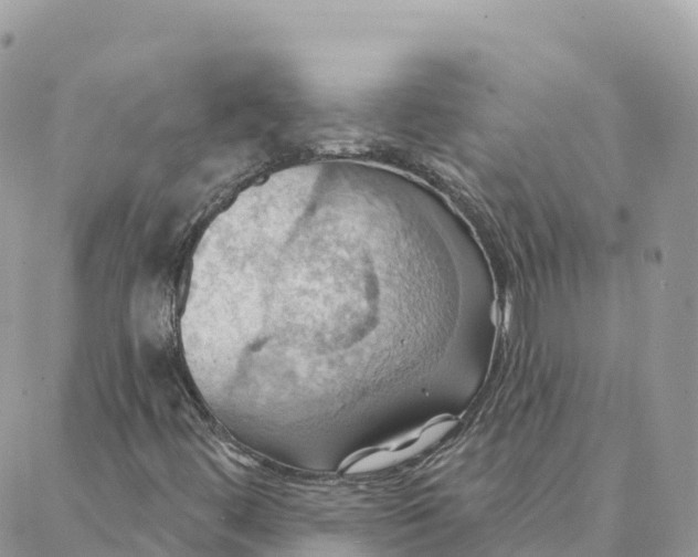 X0000088381444200706121133