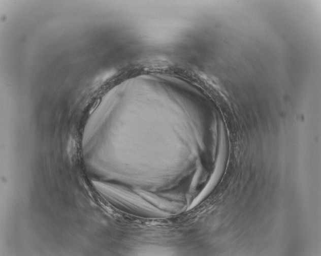 X0000088381445200706121133