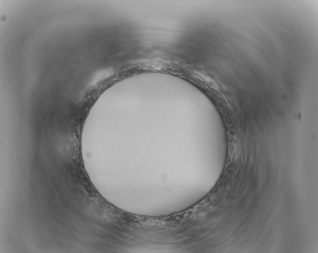 X0000088381446200706121133