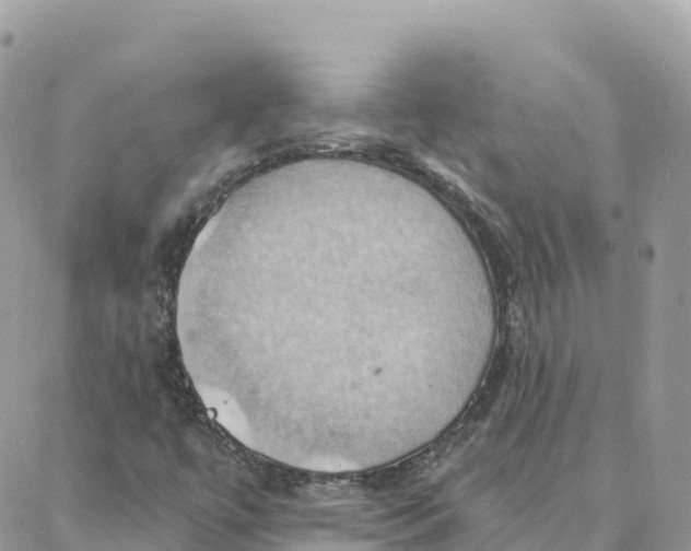 X0000088381447200706121133