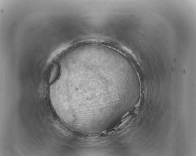 X0000088381448200706121133