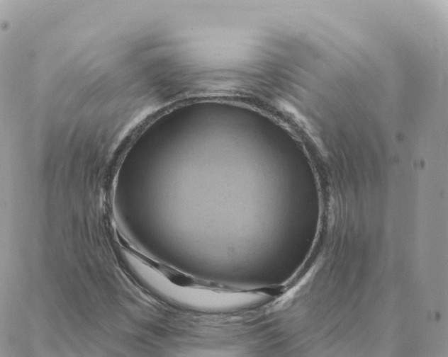 X0000088381449200706121133