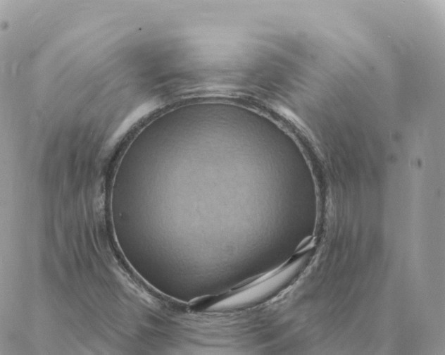 X0000088381450200706121133