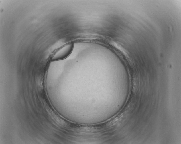 X0000088381451200706121133