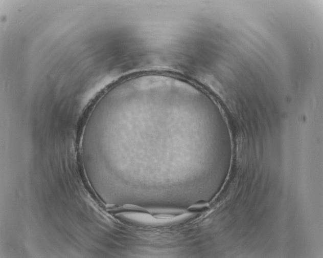 X0000088381452200706121133