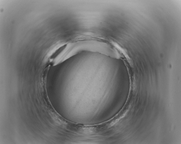 X0000088381453200706121133