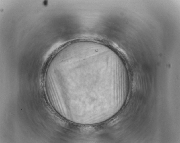 X0000088381454200706121133