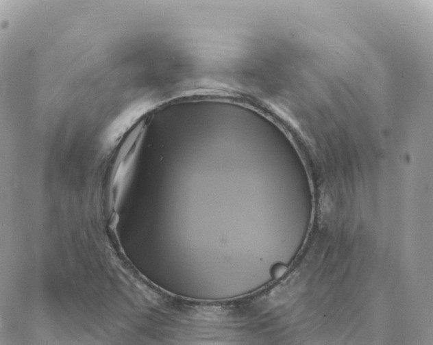 X0000088381455200706121133