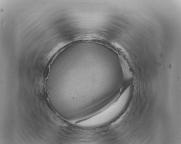 X0000088381457200706121133