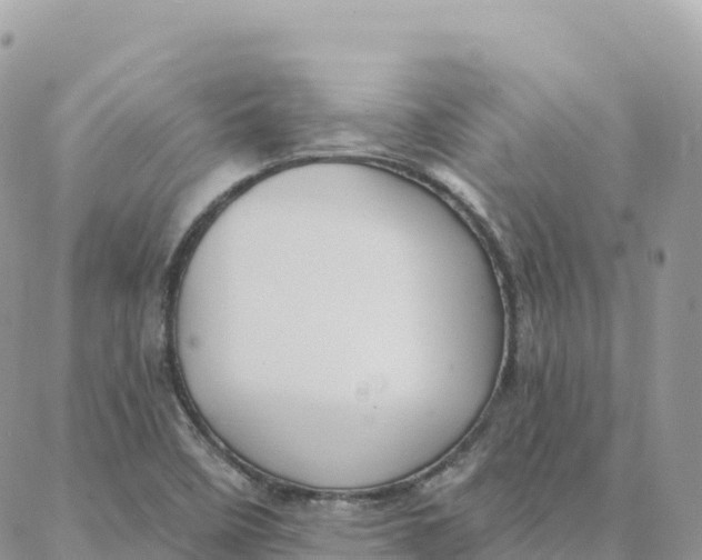 X0000088381458200706121133