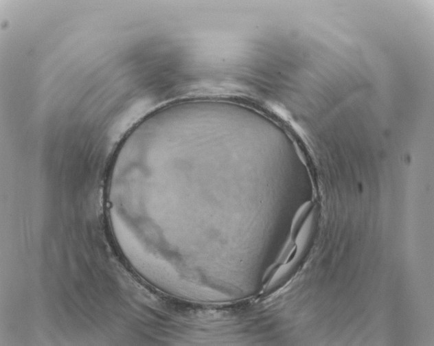 X0000088381459200706121133