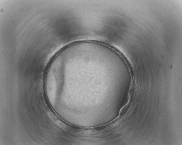 X0000088381460200706121133