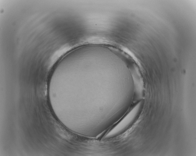 X0000088381461200706121133