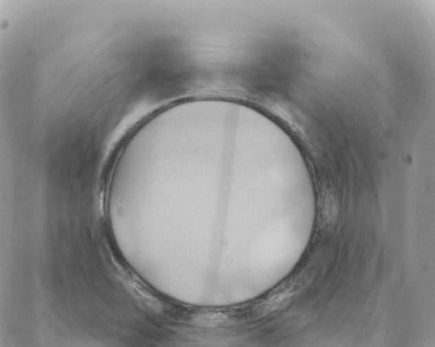 X0000088381462200706121133