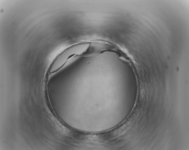 X0000088381463200706121133